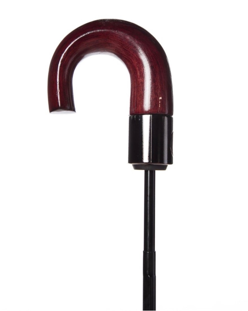 burberry umbrella with j handle