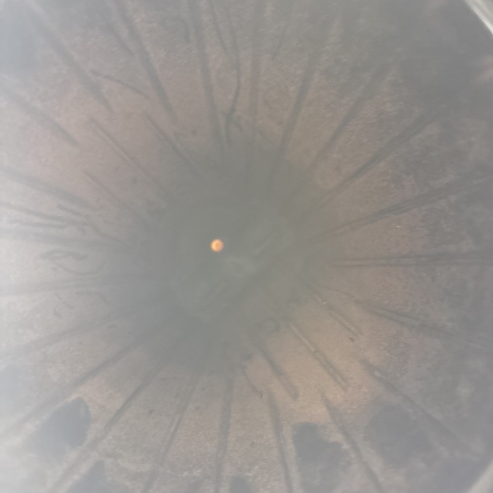 DeLonghi 10 Cup Drip Coffee Maker Pot Type DC36TB