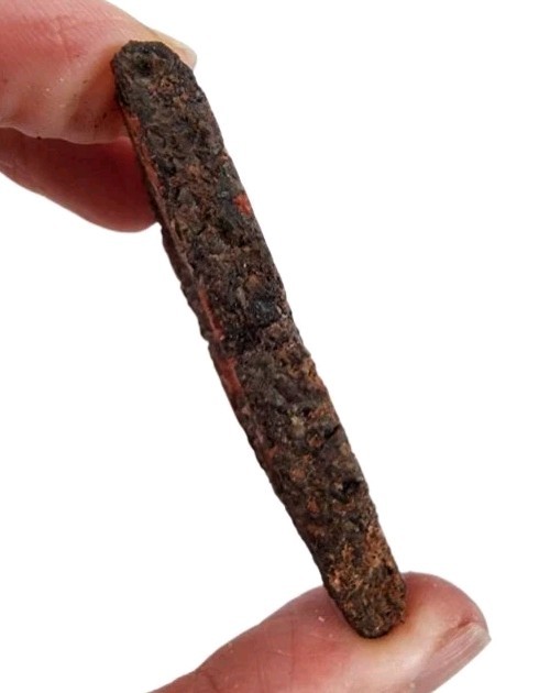 Dinosaur Gem Bone Slab 20.9 grams.