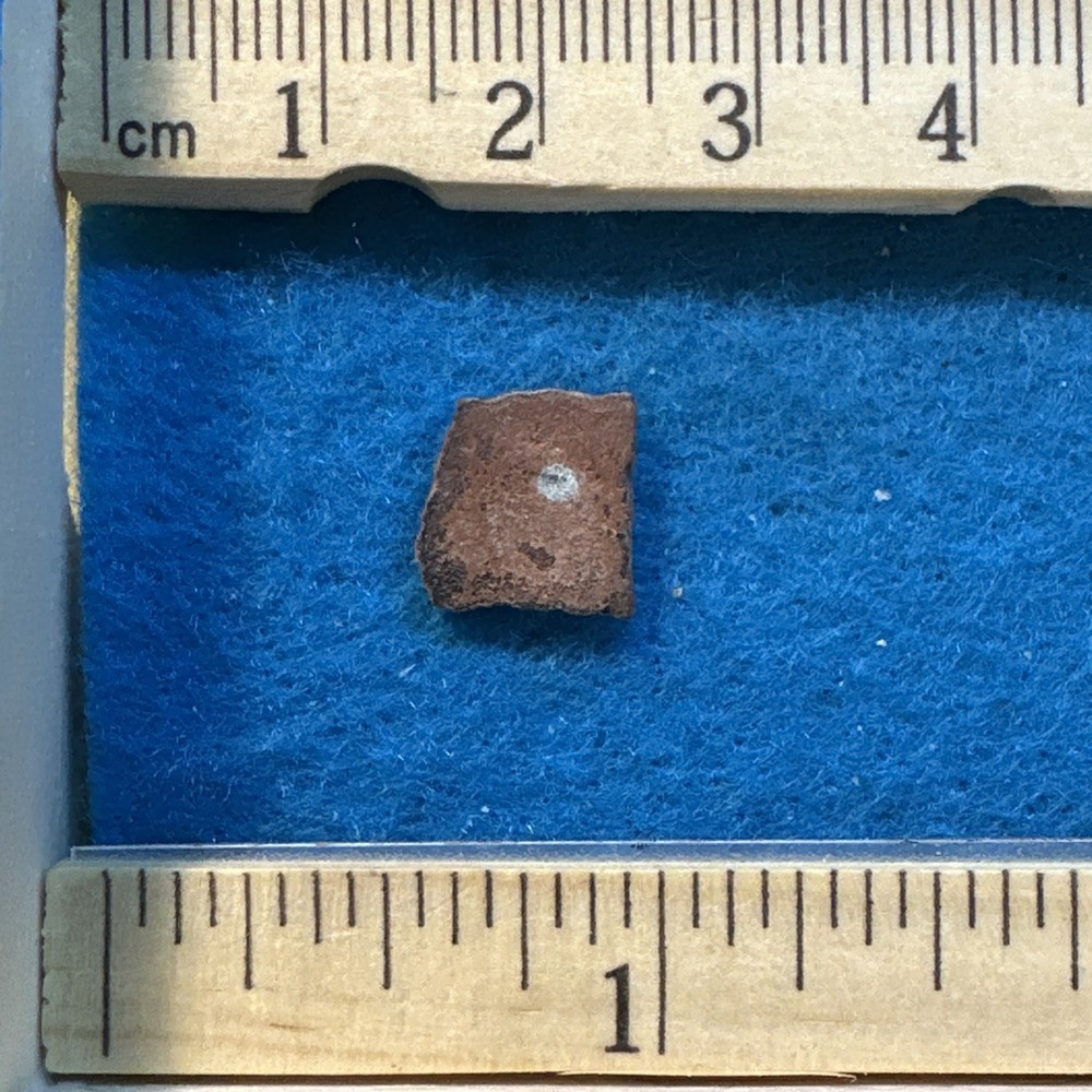 Dinosaur Eggshell Fossil Authentic with Display Case Ankylosaurid?