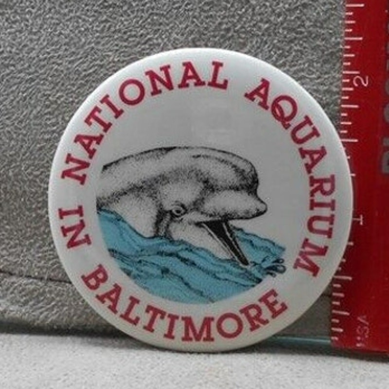 National Aquarium Baltimore Dolphin Vintage 2.25" Pinback Button