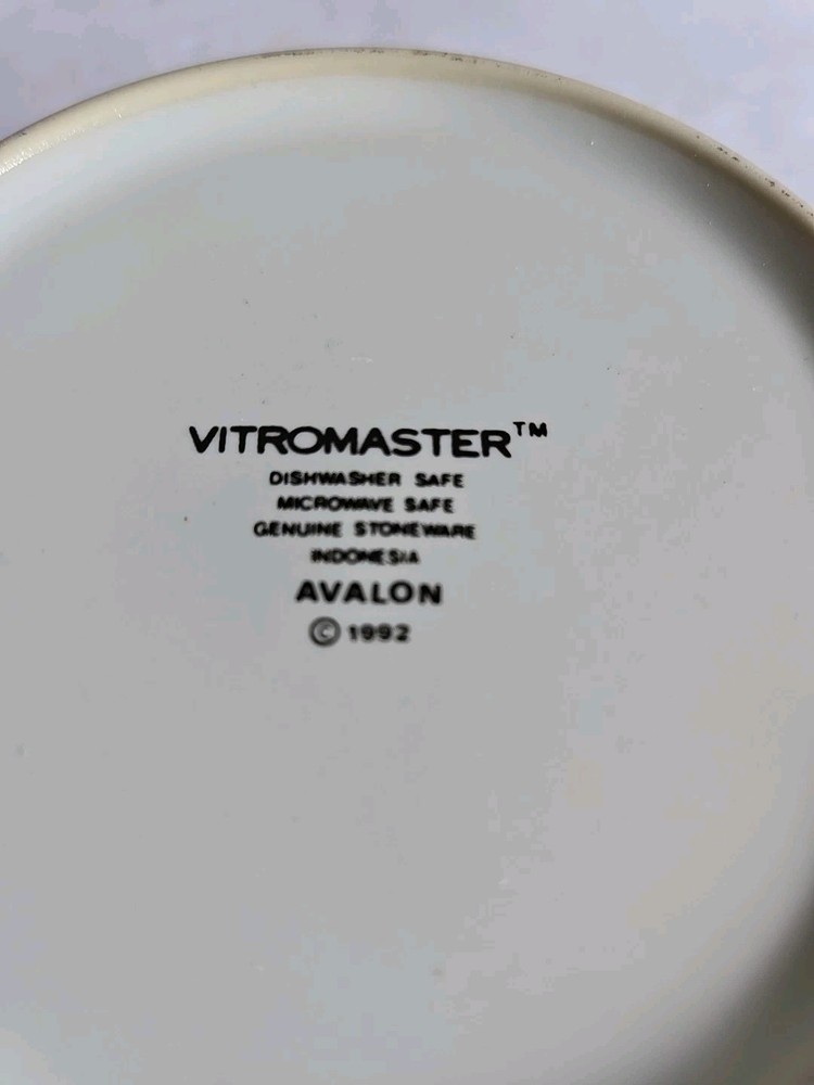Vitromaster Avalon 20 Piece Dish Set For 4 Fruit Rim Design