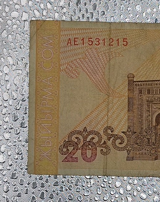 1994 - Kyrgystani 20 Som Bank Note