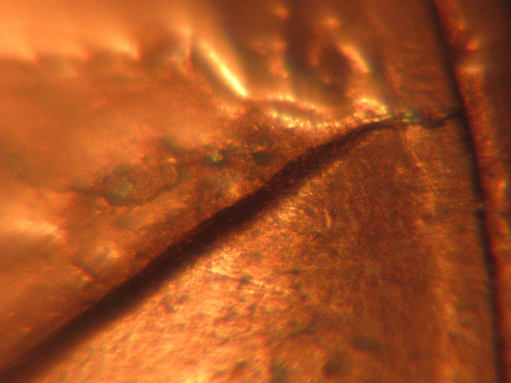 1984 P Lincoln Penny with Reverse Die Crack Error