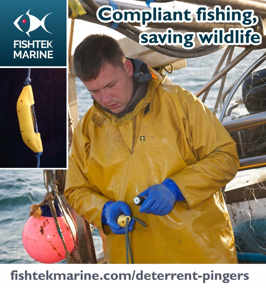 Whale Pinger / Deterrent pinger / Under-water protection device