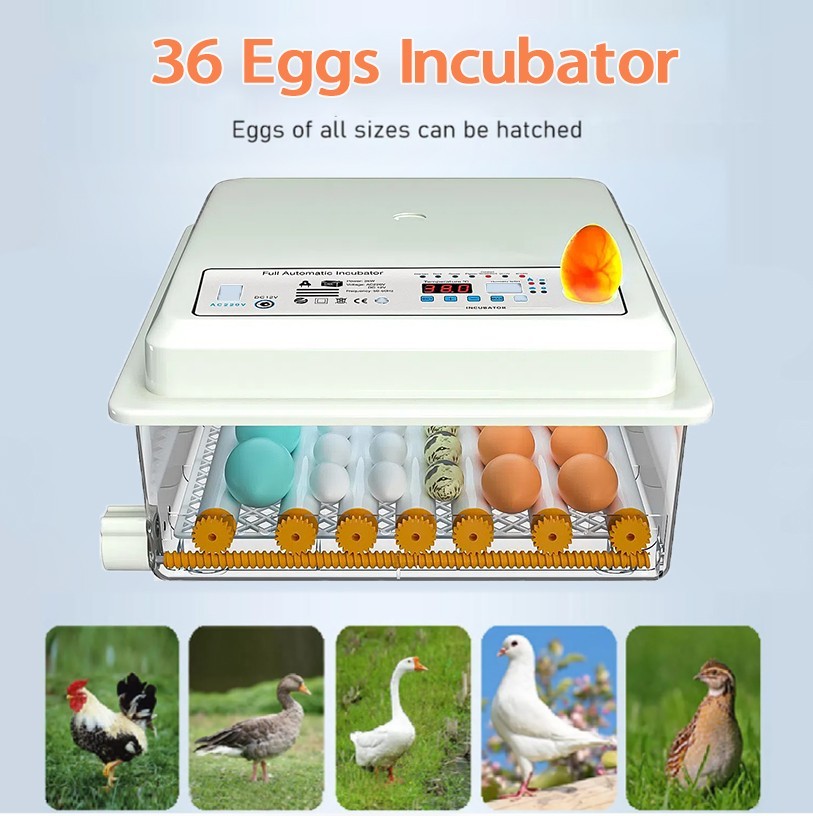 🔥36 Eggs Incubator with Auto-Turning, Temperature, Humidity Control Egg Hatcher