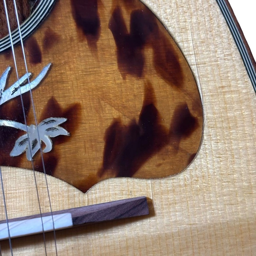 RAFFAELE CALACE Type26 with case