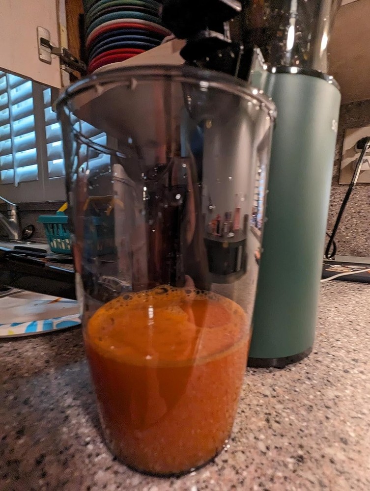 Slow Juicer Machine Masticating Cold Press Juicers Squeezer Vegetable Processor