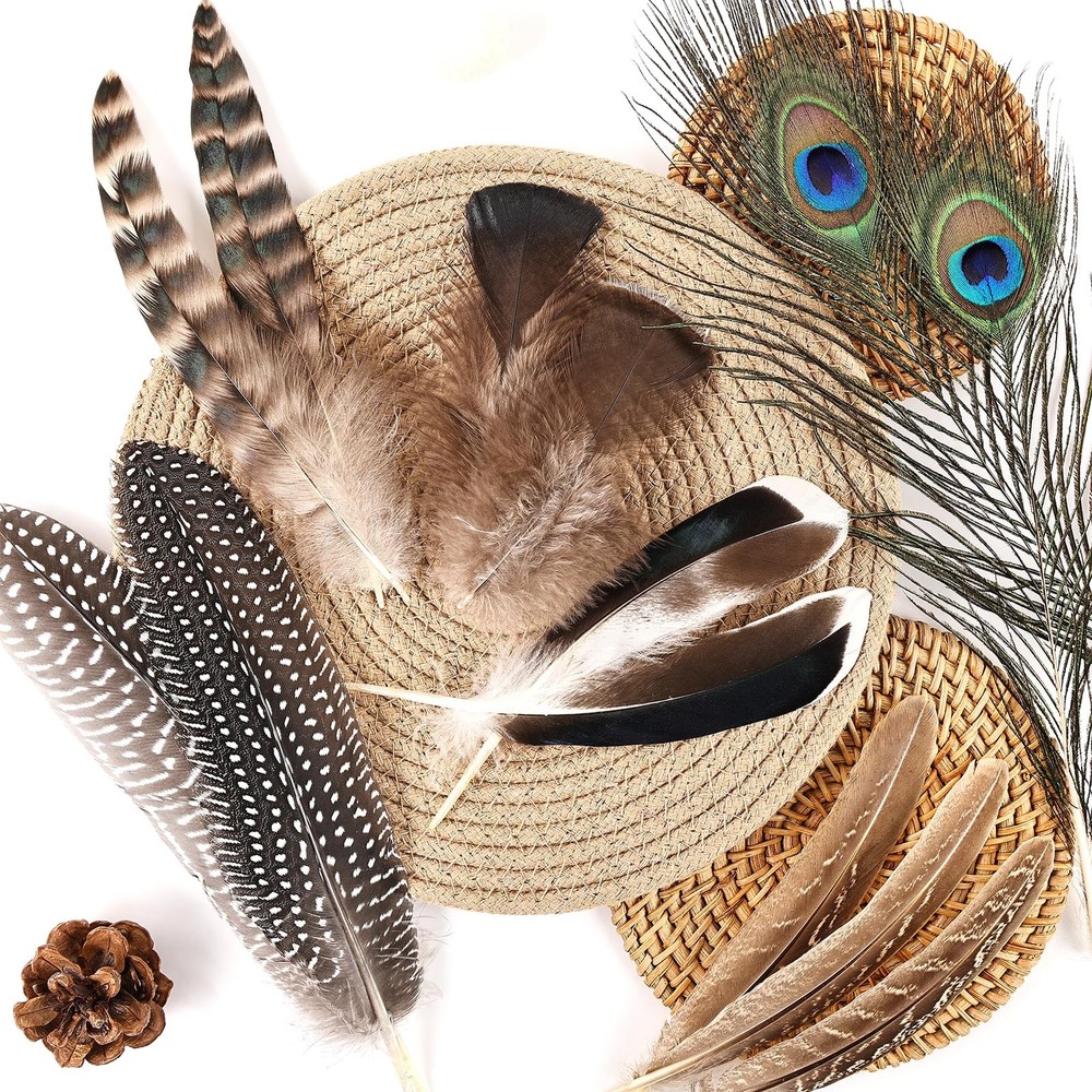 Natural Feathers Bulk - 55PCS - 6 Styles Assorted Feathers, 6