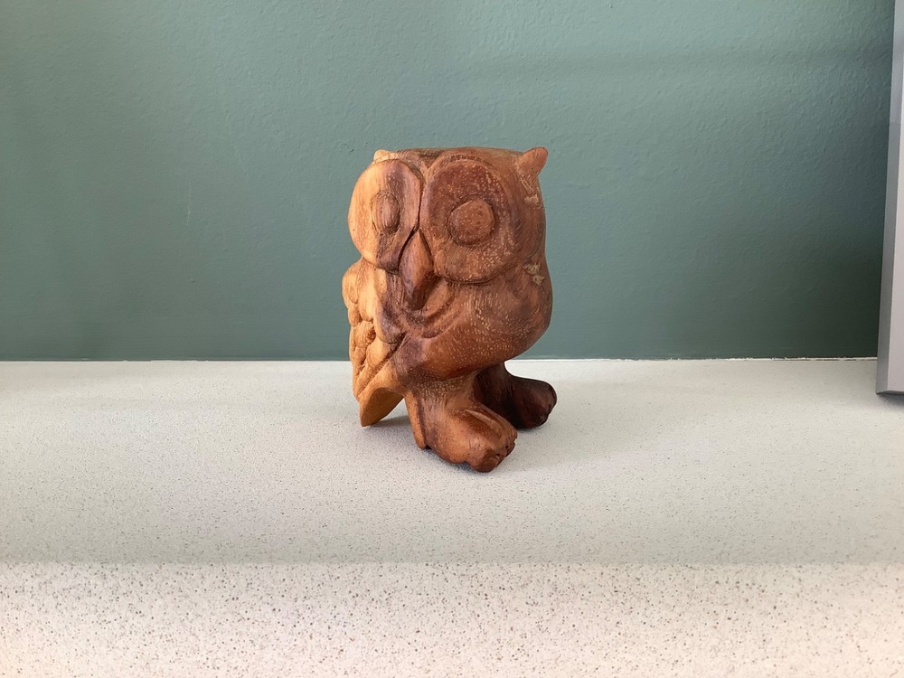 PP Hooting Owl Guiro
