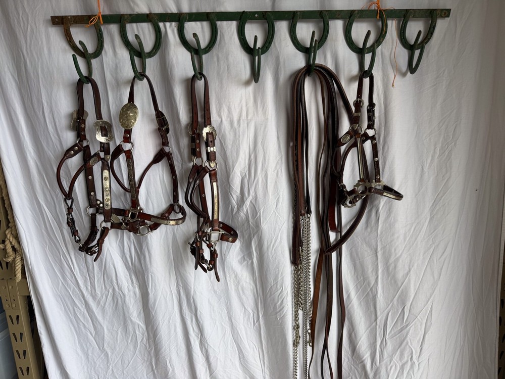 Circle Y Show Halter - Yearling/Pony Sized