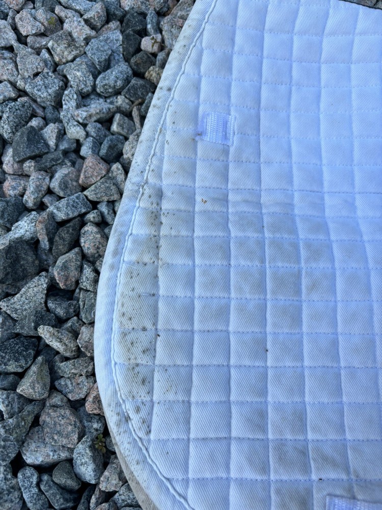 ThinLine AP Quilted Saddle Blanket