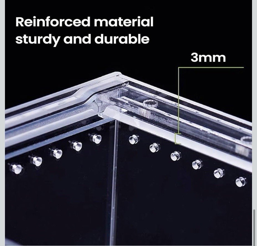 Jumping Spider Habitat