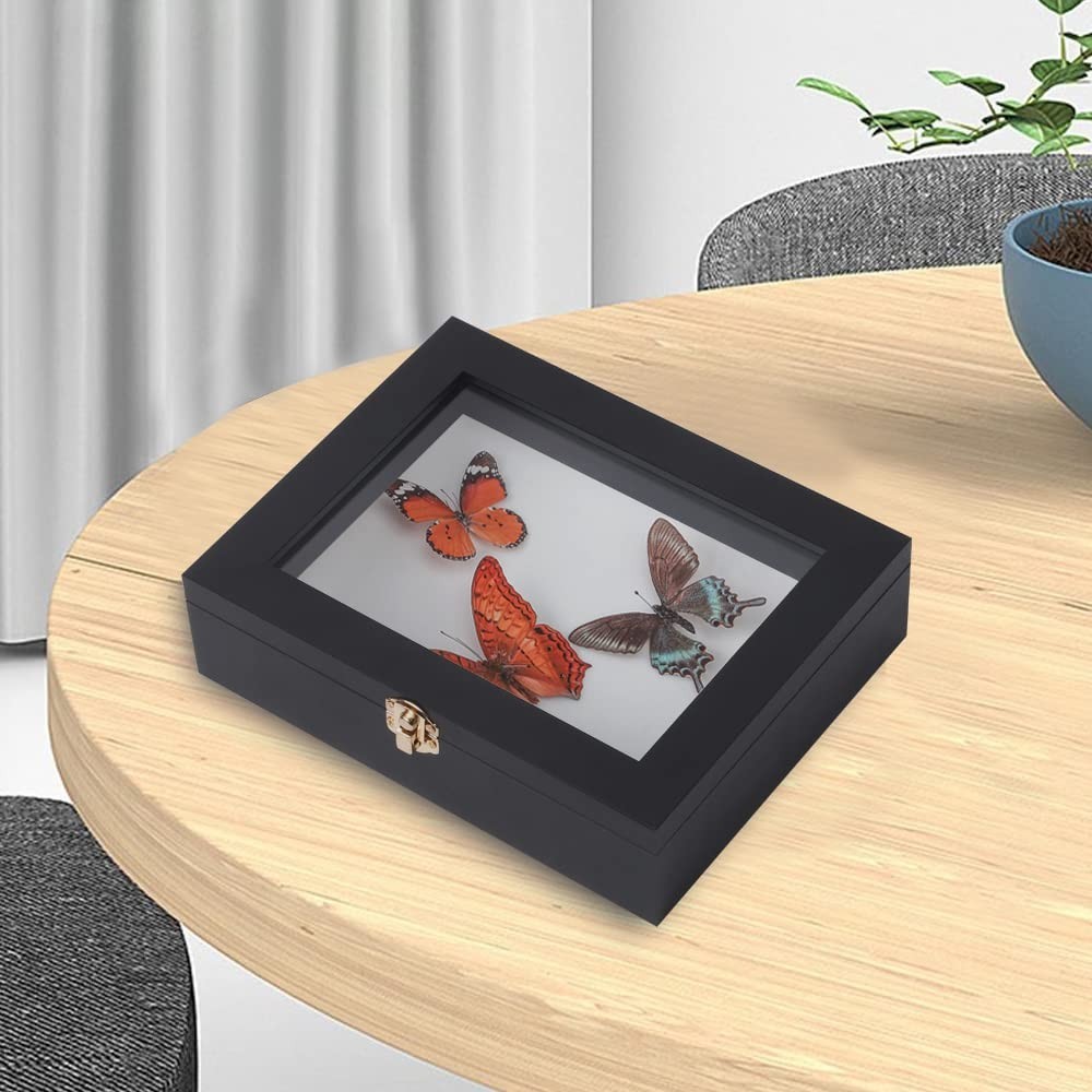 IHEIPYE Insect Display Case Wall Mount Bug Display Case Collection Box for Butte