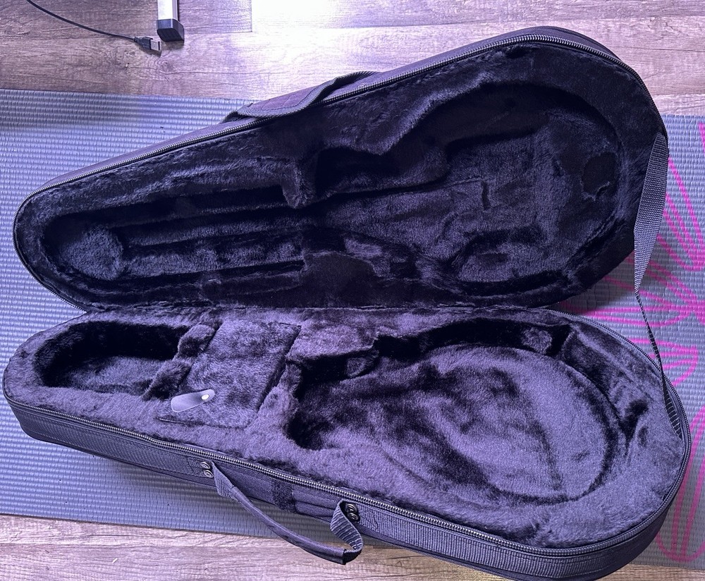 Gator Mandolin Case