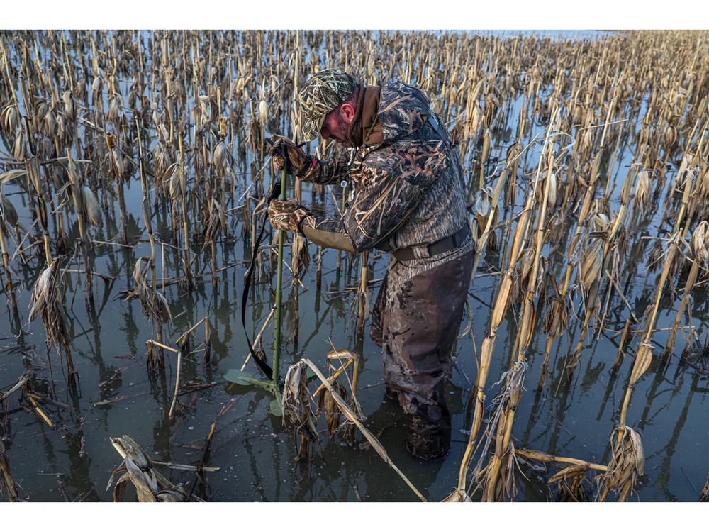 Avian X Marsh Gear Stick
