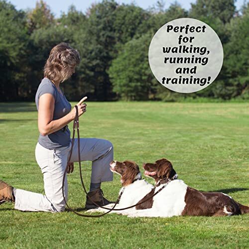 - Premium Leather Dog Leash - 6 ft Heavy-Duty Soft & Strong for Small/Medium ...