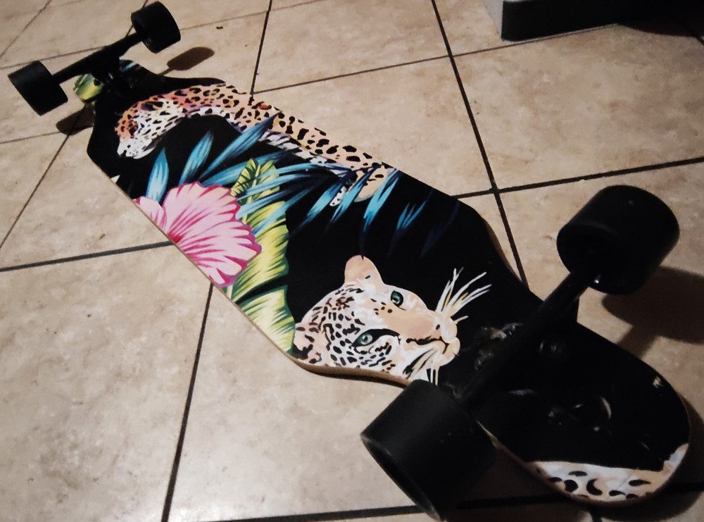 skateboard longboard Holato