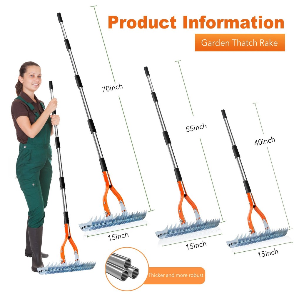 Thatch Rake,15" Lawn Dethatcher Rakes,Dead Grass Remover,Manual Dethatching R...