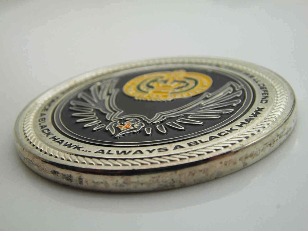 1-304 REGT 98TH TRAINING DIVISION CHALLENGE COIN