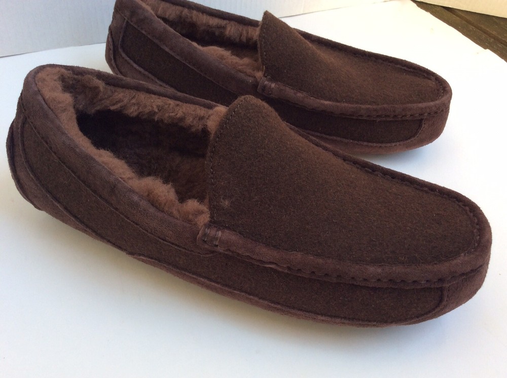 UGG Australia Ascot Wool Slippers Brown 3233 Size 8