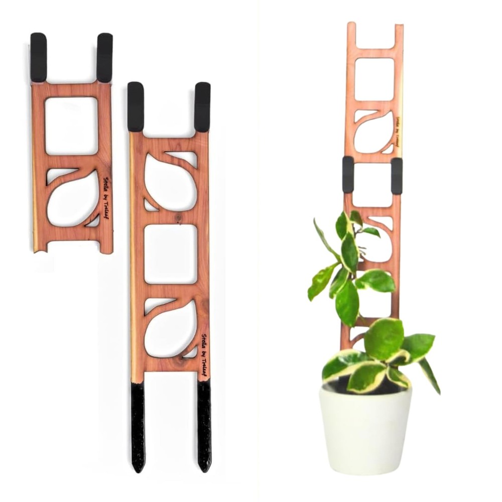 Treleaf Stella Extendable Ladder Trellis - Wooden Regular - Base Kit, Red