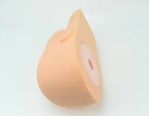 Eyelash Extensions Practice Mannequin Head, Cosmetology Training Mannequin Head