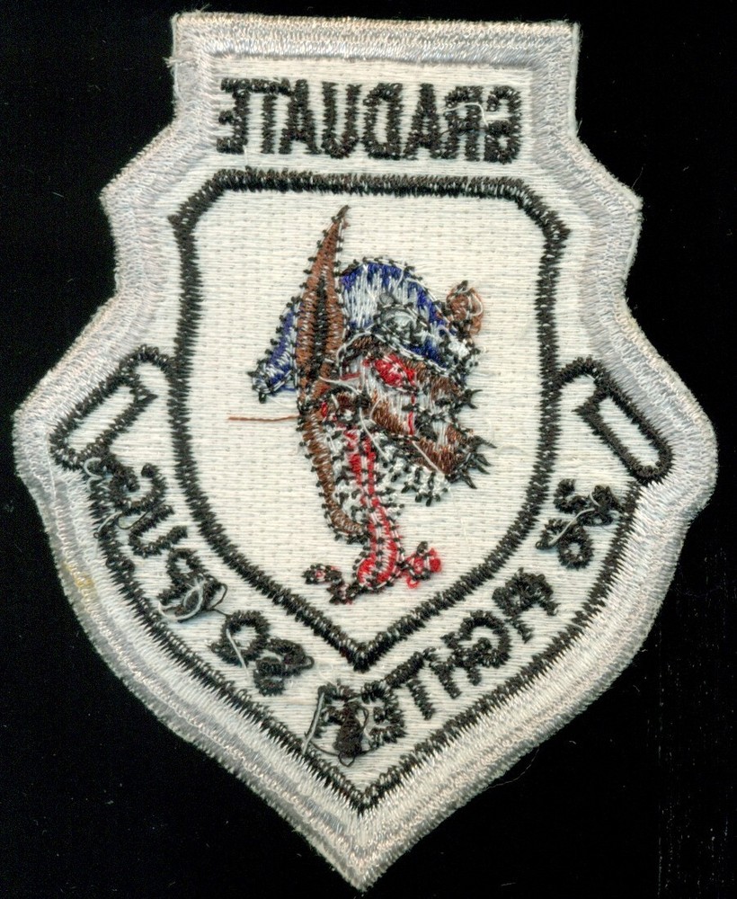 USAF 36th Fighter Squadron IPUG Graduate Patch K-8