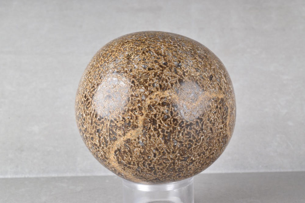 Dinosaur Bone Sphere from Morocco 6.8 cm # 21482