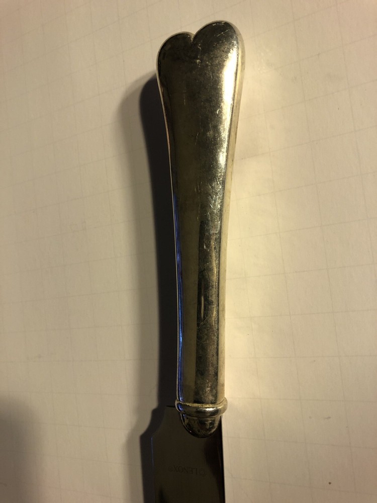 Lenox Heart Shaped Silver Cake Knife- Anniversary, Wedding