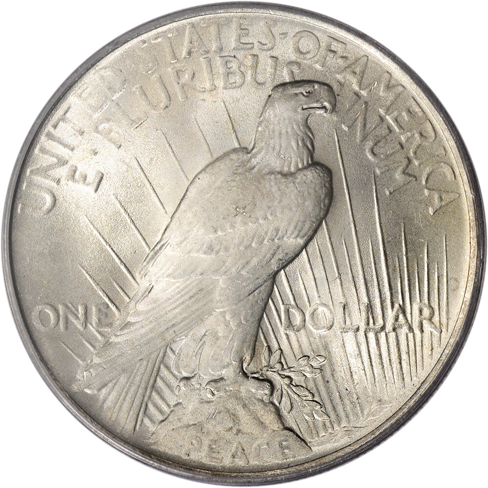 US Peace Silver Dollar - NGC MS63 - Random Date and Label