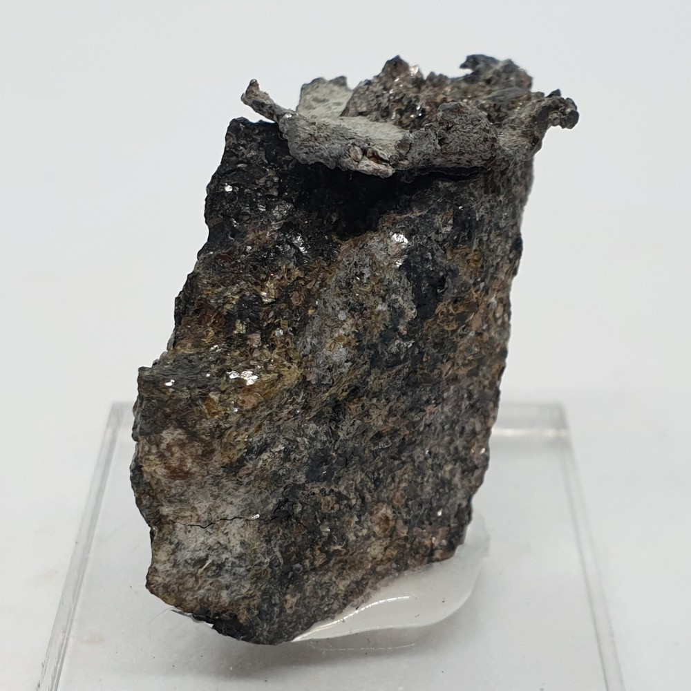 Lead