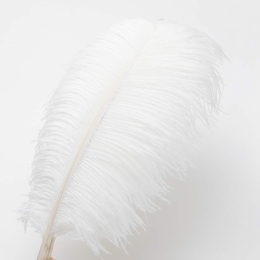 Luxurious Large White Ostrich Feathers - 24pcs for Weddings & Party Centerpieces