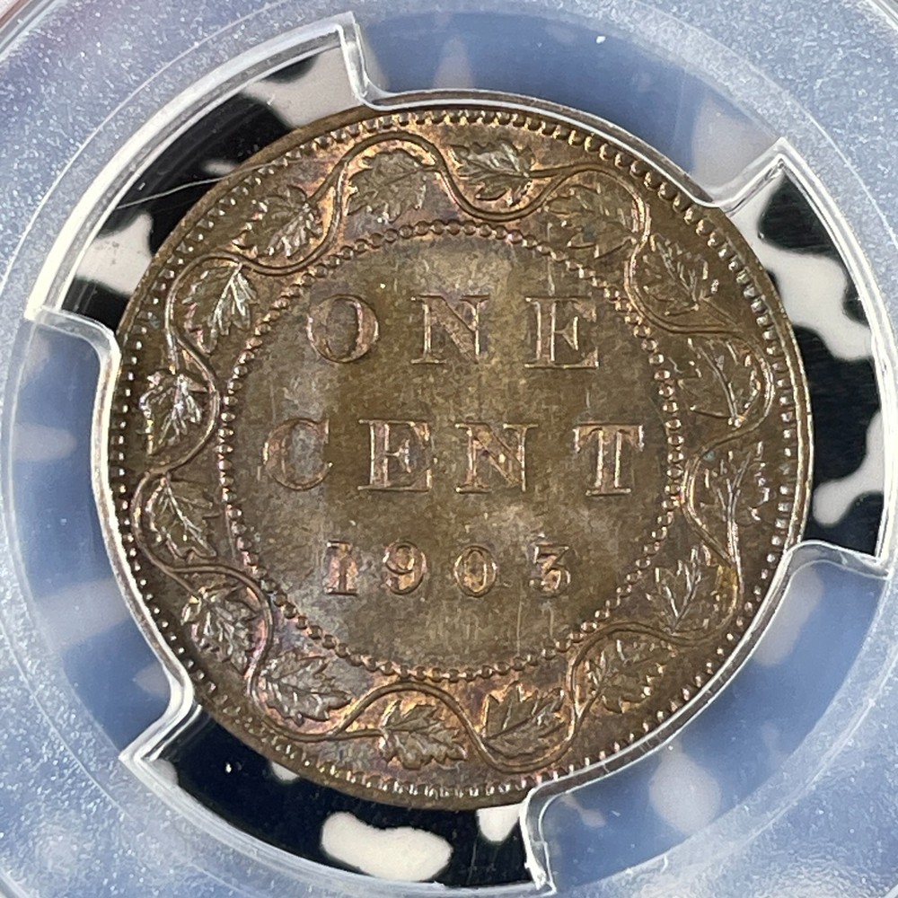 1903 Canada Large Cent PCGS MS64BN Lot#G2145 Choice UNC!