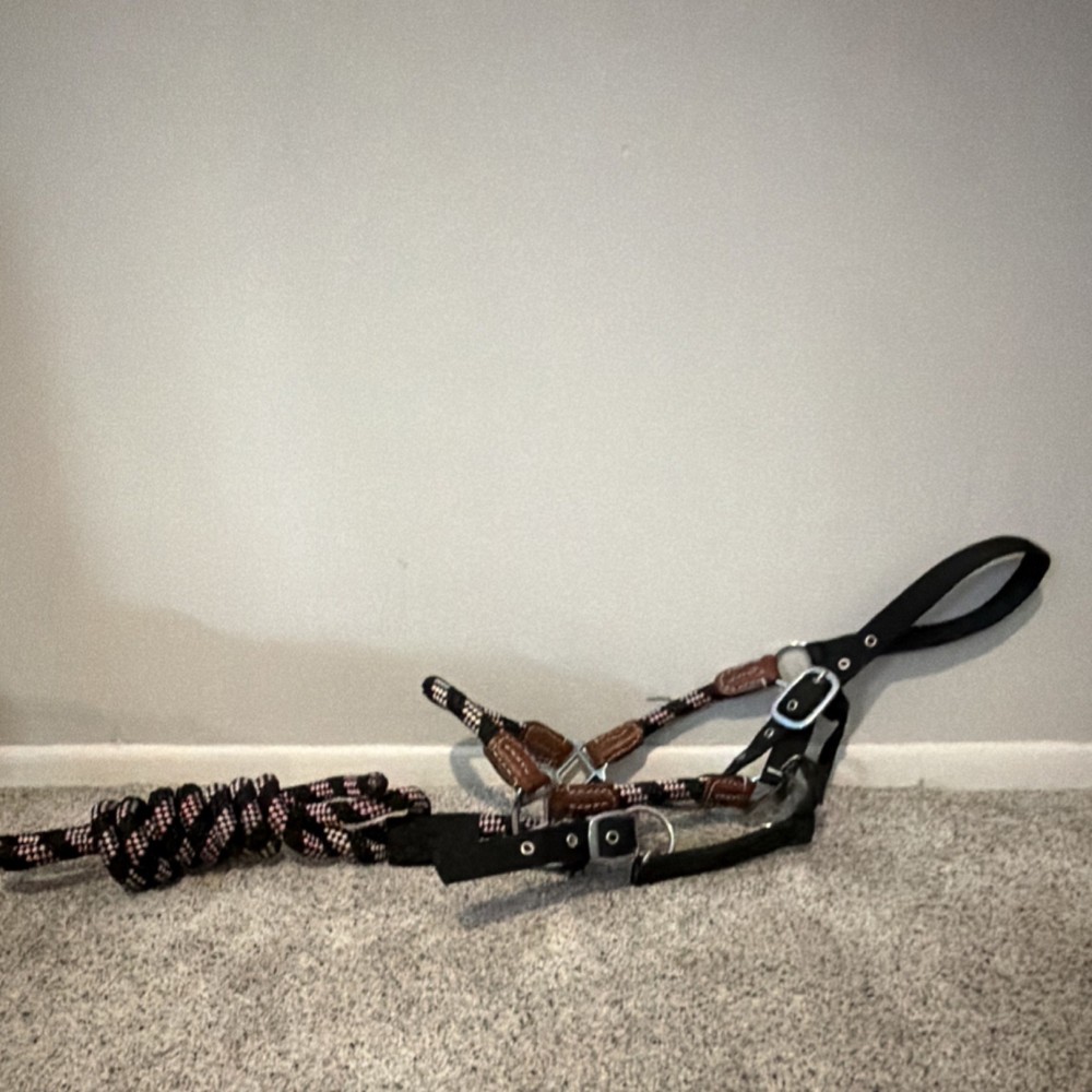 Nylon Halter and lead rope