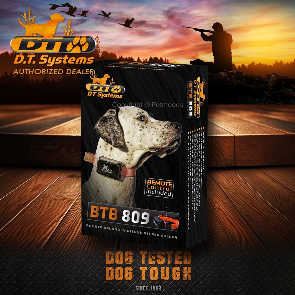 DT Systems BTB-809 Single Beep Baritone Dog Beeper Collar with Remote Control