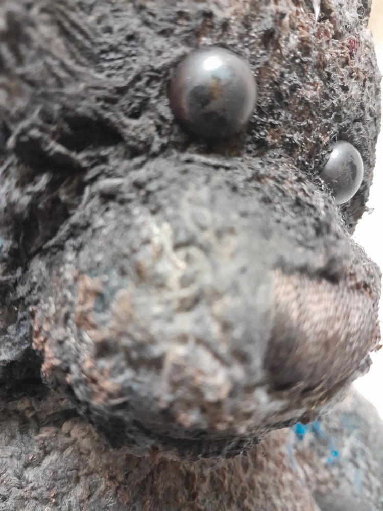 Brown Bear / Haunted Doll / READ DESCRIPTION