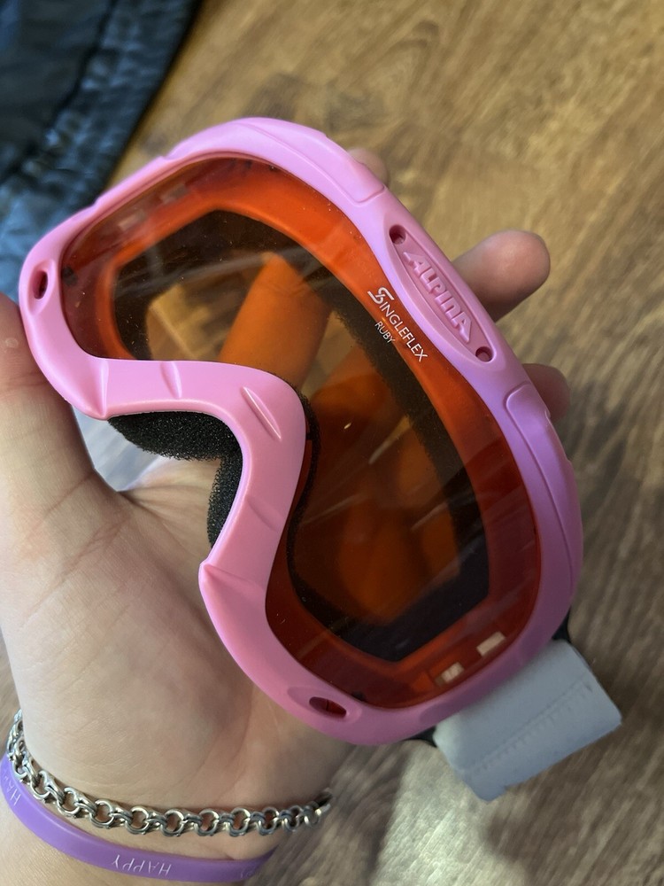 Alpina Singleflex Ski Mask