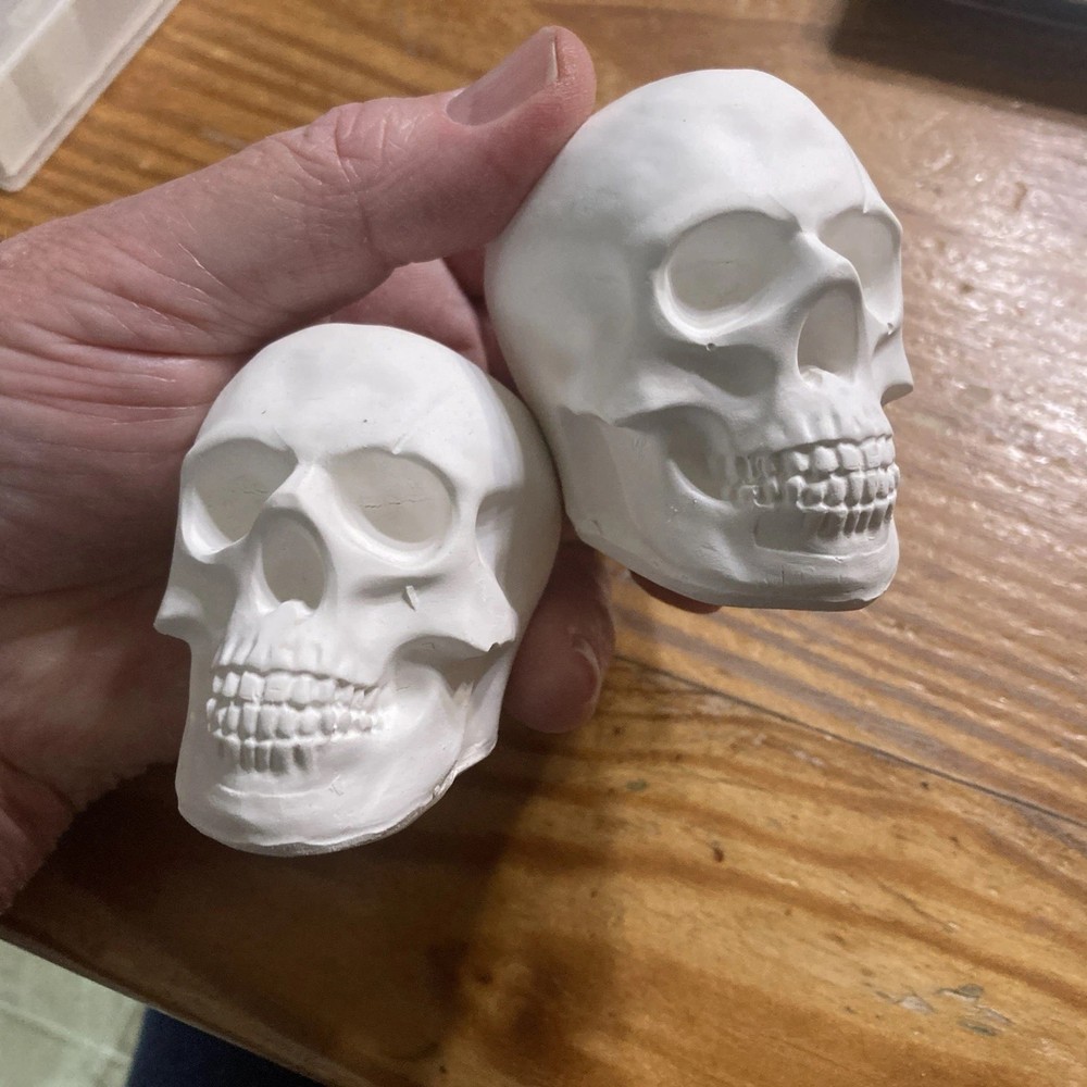 Human Skull Model Solid Plaster Small 3"x 2"x 3" Qty=3🔥🔥🔥🔥🔥🔥