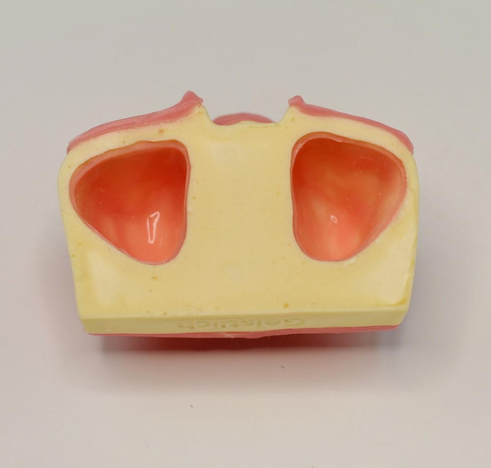 Dental Implant Model Maxillary Sinus Jaw Lift Practice Study Teeth Training