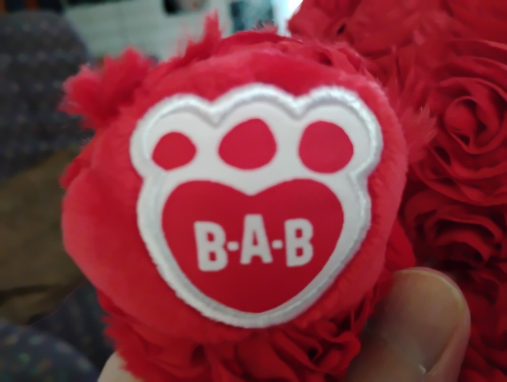 Build-A-Bear Workshop Red Rose Pattern Teddy Bear Plush
