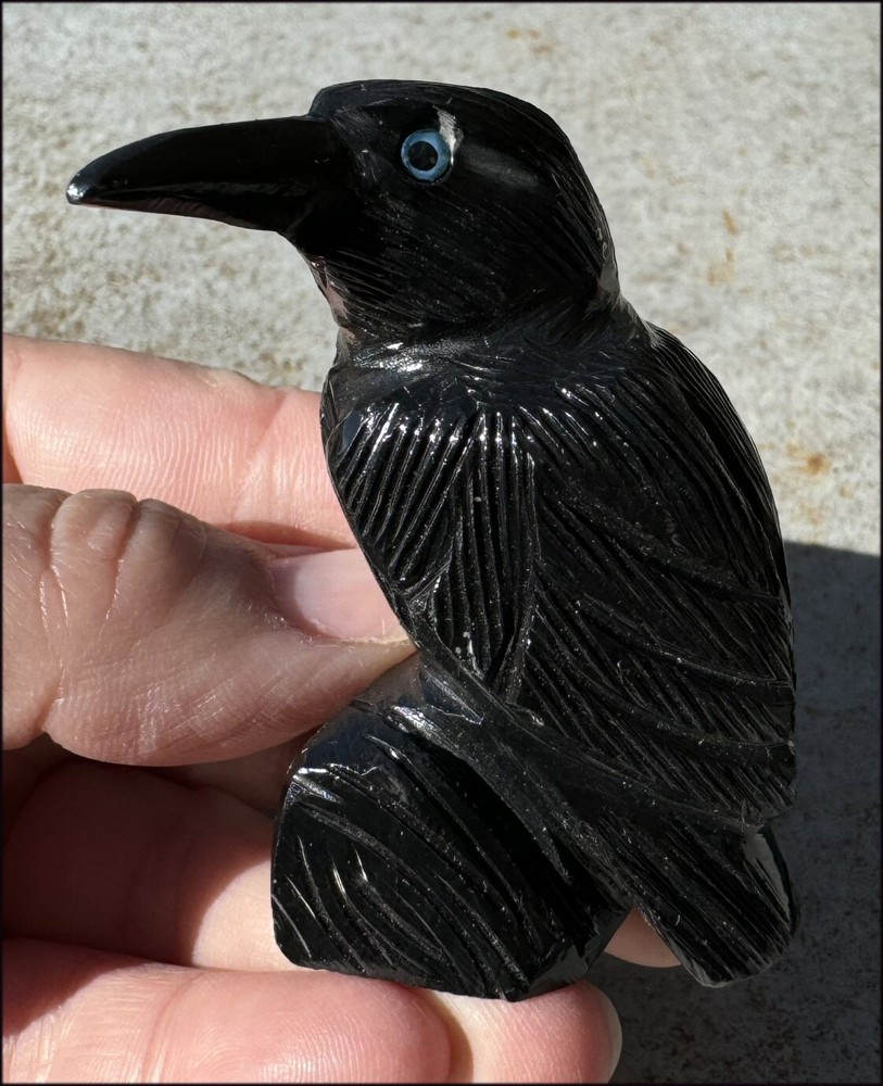 Medium Black Onyx RAVEN Carving w/ Blue Eyes