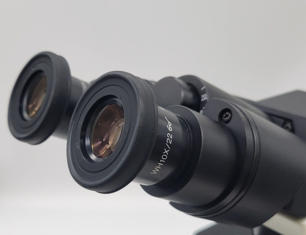 Olympus Microscope BX50 w. Binocular Head, Fixed Stage & 4x, 10x, 40x Objectives