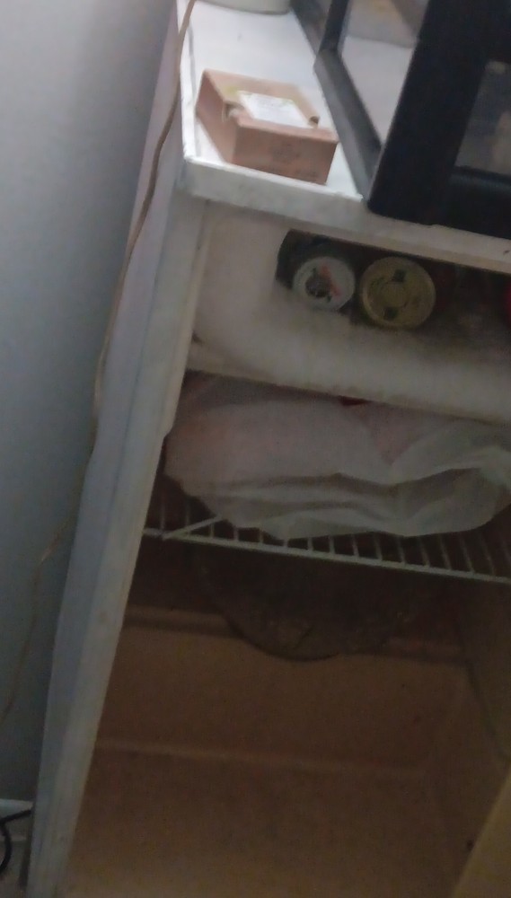 Laboratory Refrigerator/Freezer Chest Unit with Interior Shelf for Lab Use
