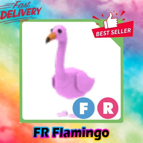 FR Flamingo *Adopt right now*