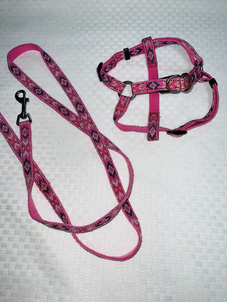 Dog Leash with Matching Harness Pink 55”