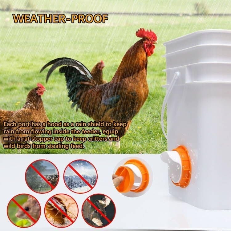 Automatic Poultry Feeder Cups, No Waste Chicken Bucket