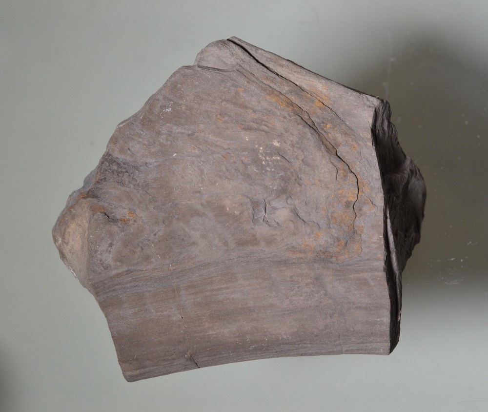 dinosaur bone fossil Utah