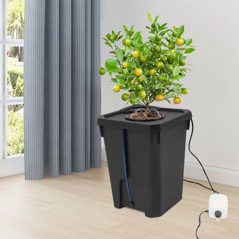 Hydroponics Growing Culture Bucket System Recirculating Drip Garden System