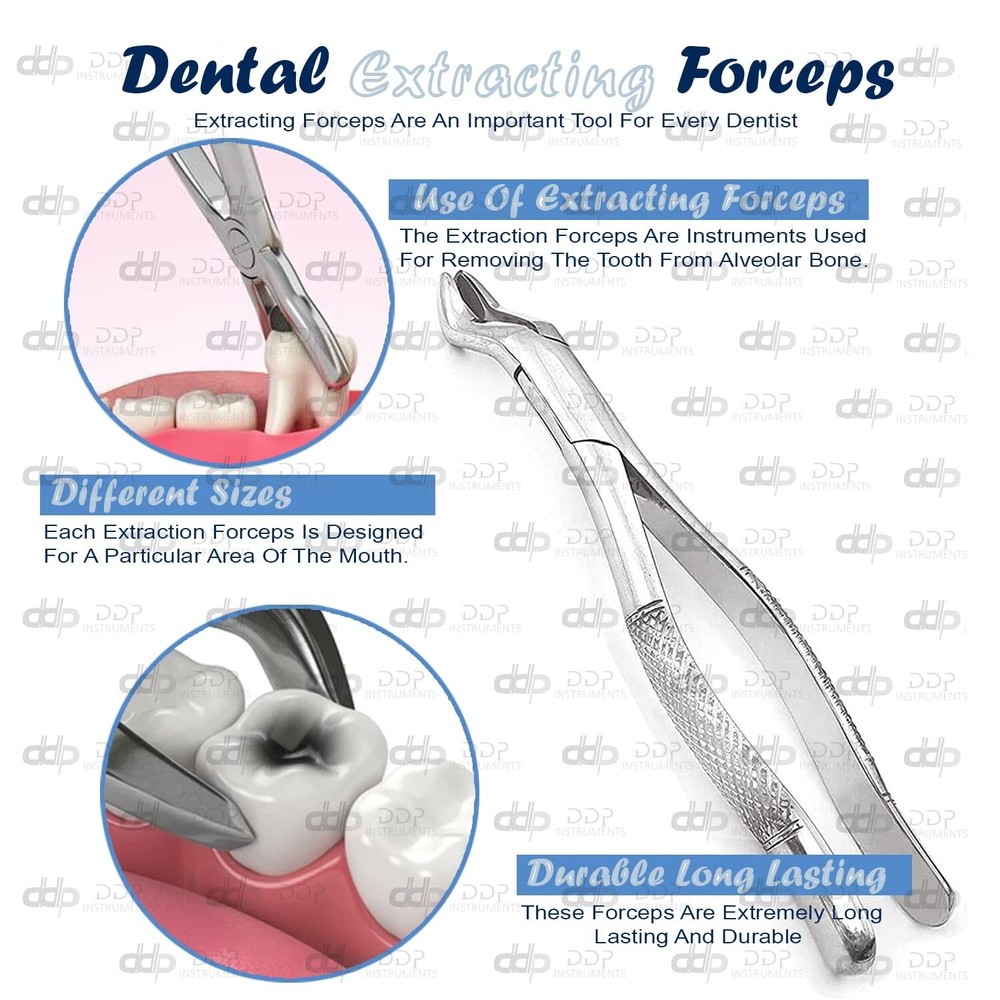 Extracting Forceps Adults - #10S. Comes with knurled handle